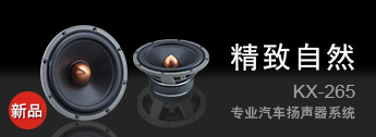 惠威KX-265扬声器