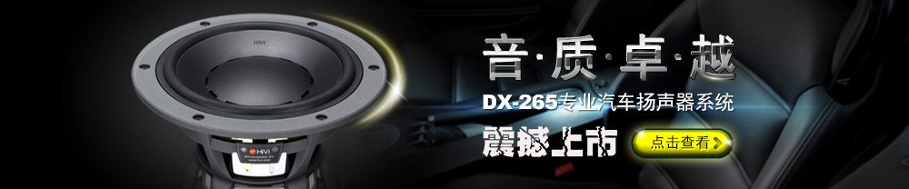 DX-265顶级汽车扬声器