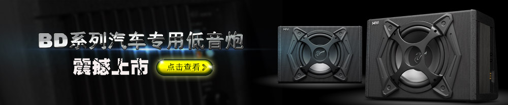 惠威汽车专用BD系列低音炮